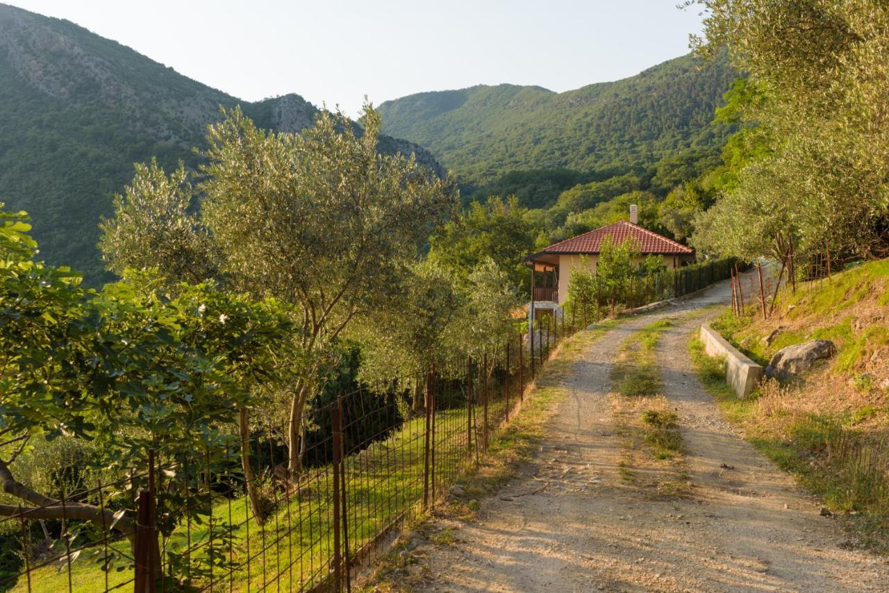 Sunset Holiday Home Tivat Exterior photo
